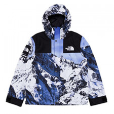 [정품급] 슈프림 X 노스 페이스 마운틴 프린트 패딩 파카 Supreme X North face
