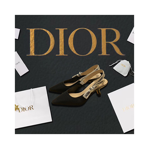 【펌프스/힐] dior shoes 디올 여성 신상 펌프스힐 빈티지슈즈
