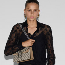 [GUCCI] 여성백 GG handle dionysus Bag 구찌가방 핸들숄더백 499623