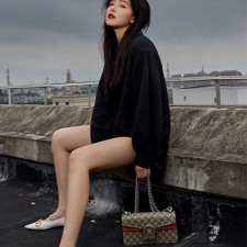 [GUCCI] 여성백 GG handle dionysus Bag 구찌가방 핸들숄더백 499623