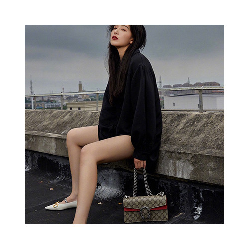 [GUCCI] 여성백 GG handle dionysus Bag 구찌가방 핸들숄더백 499623